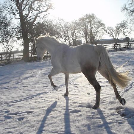 The Jockey Room Hideaway Spurstow Экстерьер фото