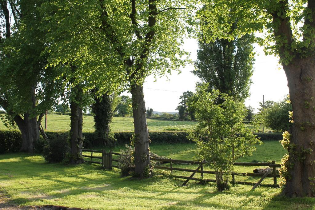 The Jockey Room Hideaway Spurstow Экстерьер фото
