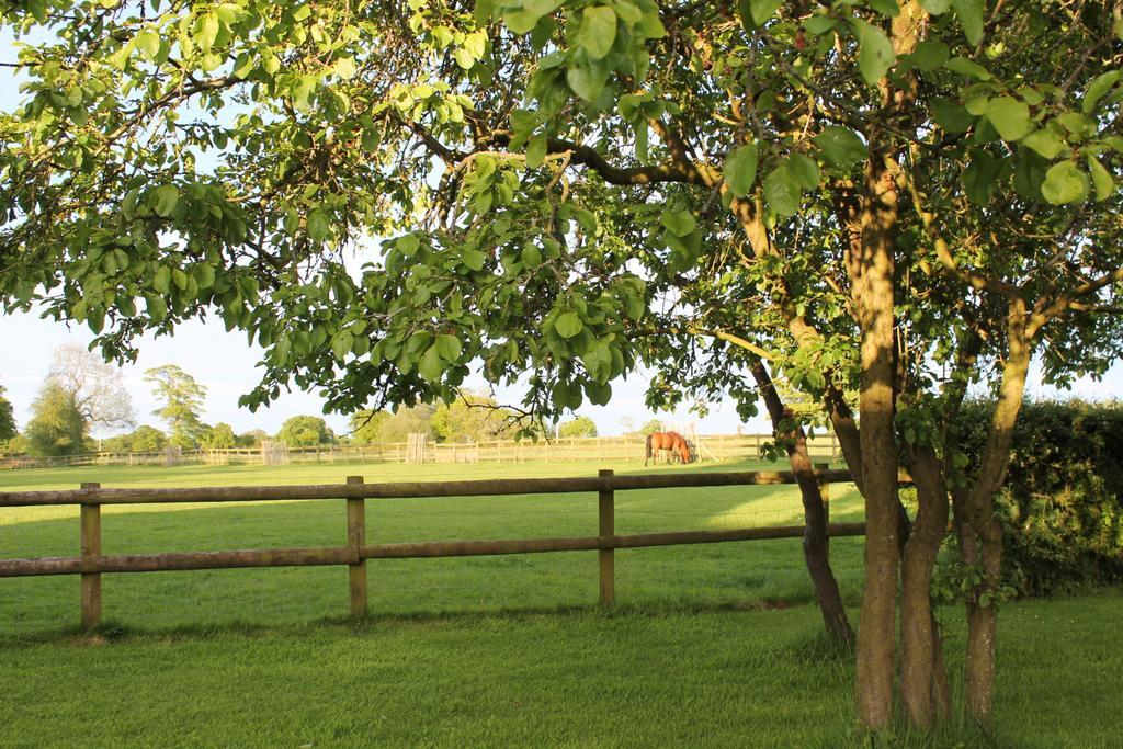 The Jockey Room Hideaway Spurstow Экстерьер фото